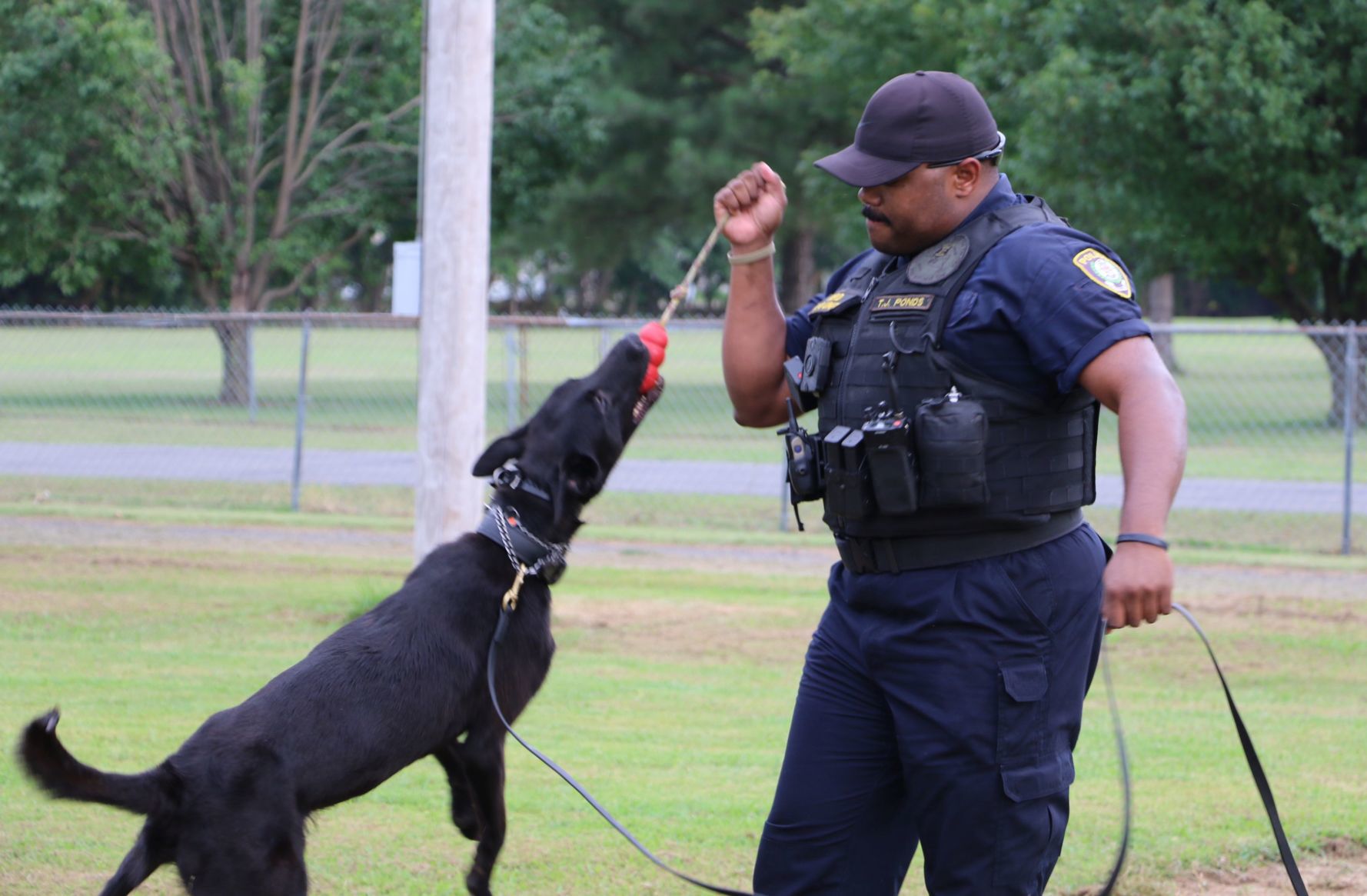 WPD National Night Out Demonstration